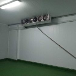 Revestimiento para cámaras frigoríficas - isocold.es
